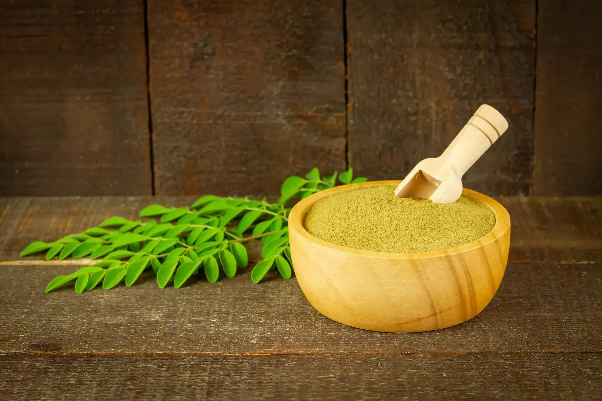 Moringa - sušená v miske a listy