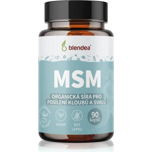 Blendea MSM: Product review