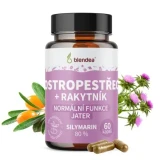 Blendea Pestrec mariánsky + Rakytník