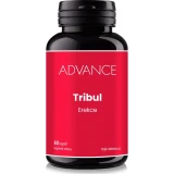 ADVANCE Tribul