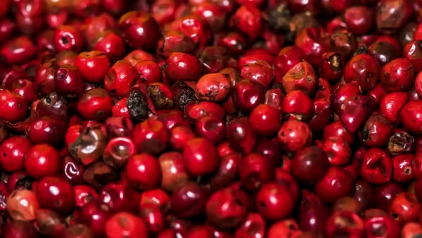 Guarana