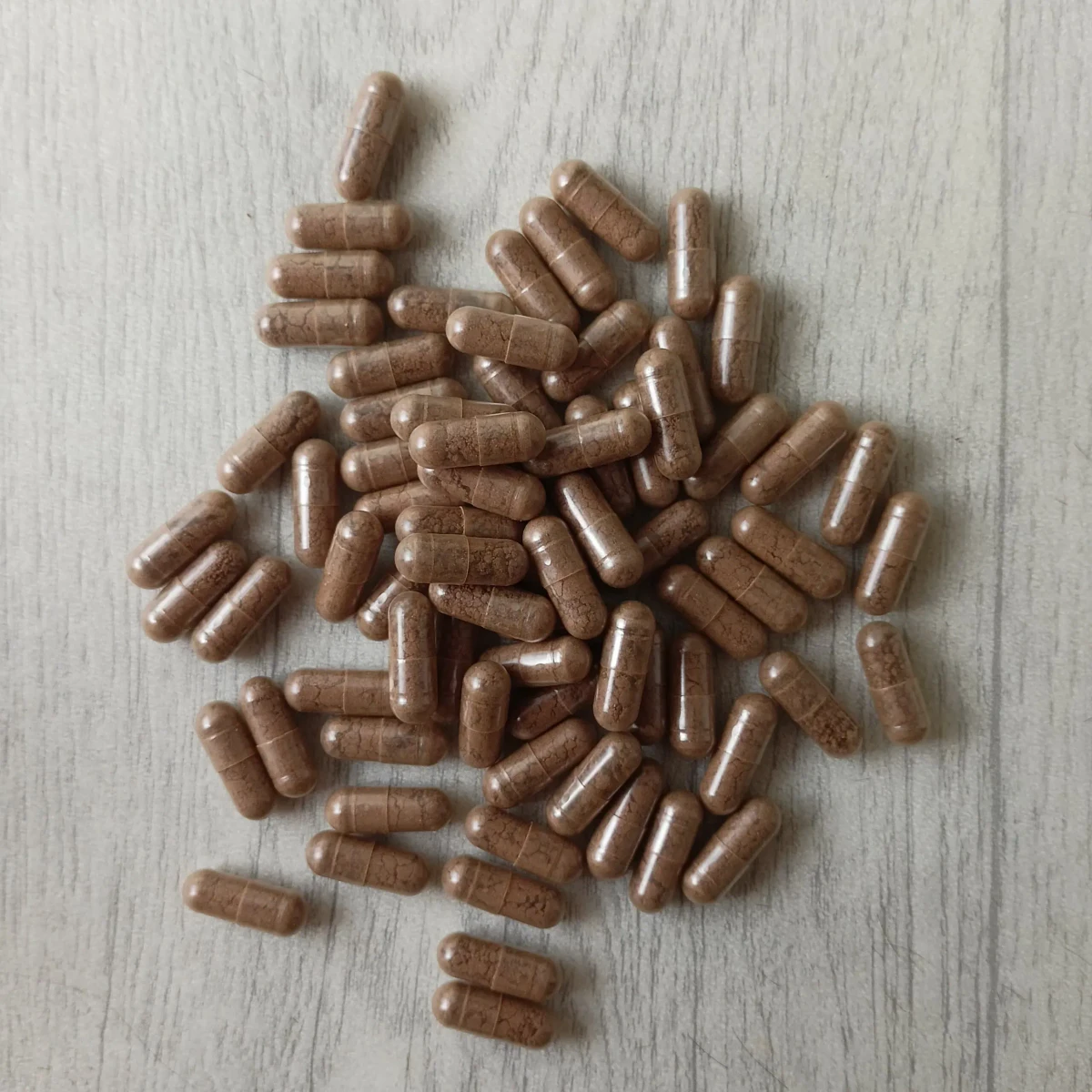 reishi-kapsle-scaled