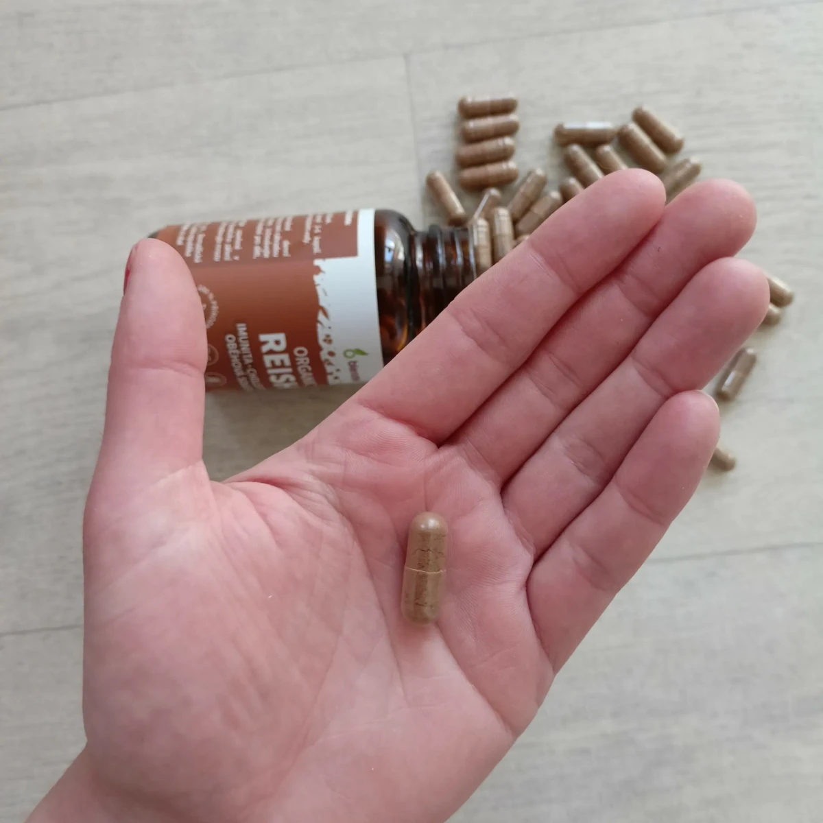 reishi-v-ruce-scaled