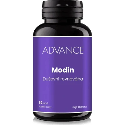 Advance Modin