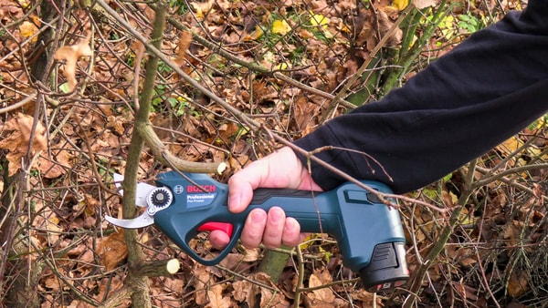 Bosch Pro Pruner Professional