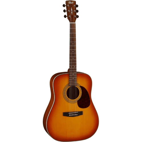 Cort Earth 70: Product review