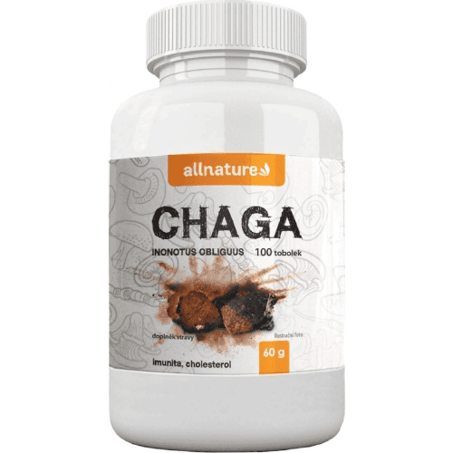 Allnature Chaga: Product review