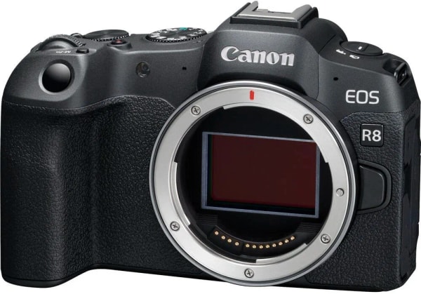 Canon EOS R8: Product review