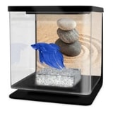 Cat-Gato Betarium Betta kit