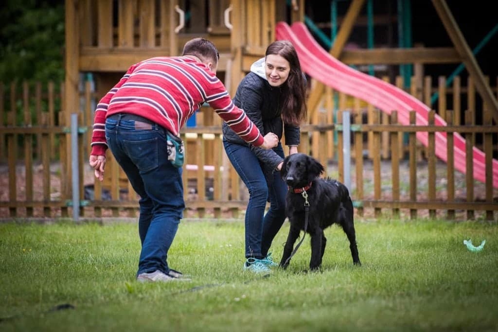 Cvičíme psa - online psia škola