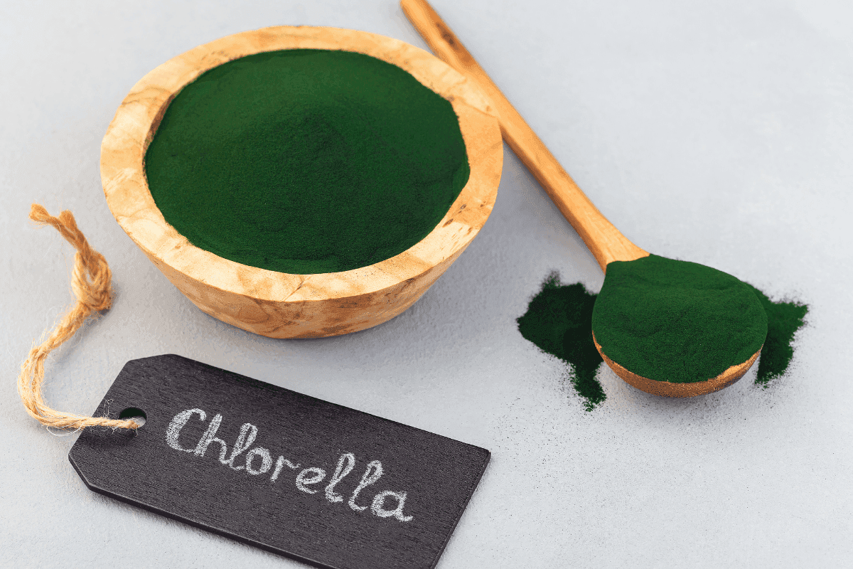 detox organizmu chlorella