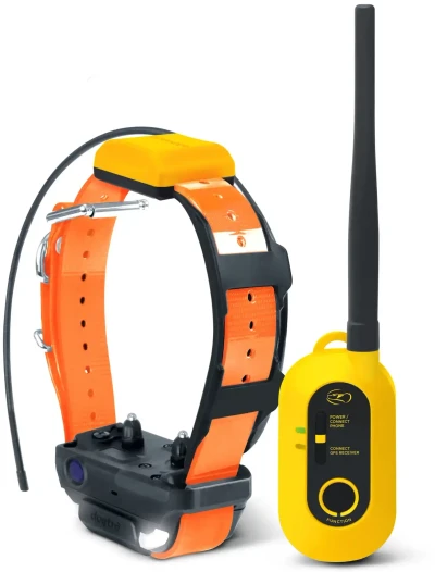 Dogtra Pathfinder 2