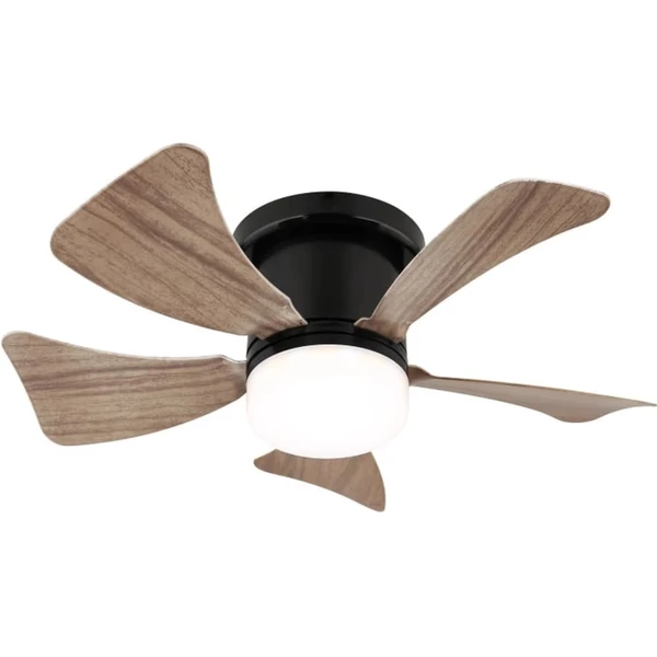 Globo 03609H: Product review
