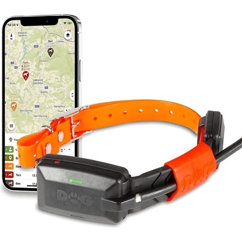 Dogtrace DOG GPS X30T Short: Product review
