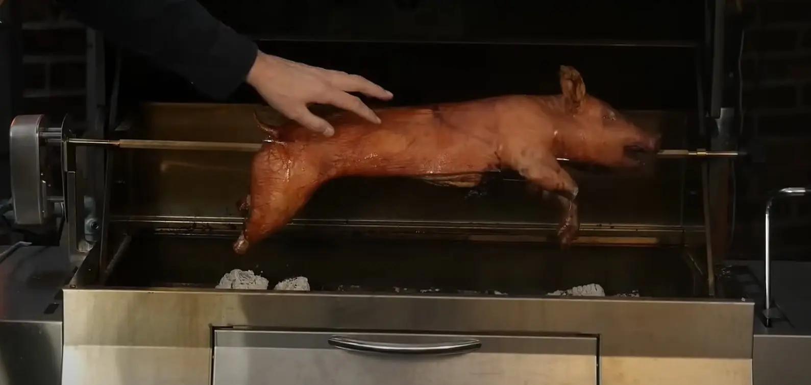 Grilované sele recenze grilů testado gril na prasiatko
