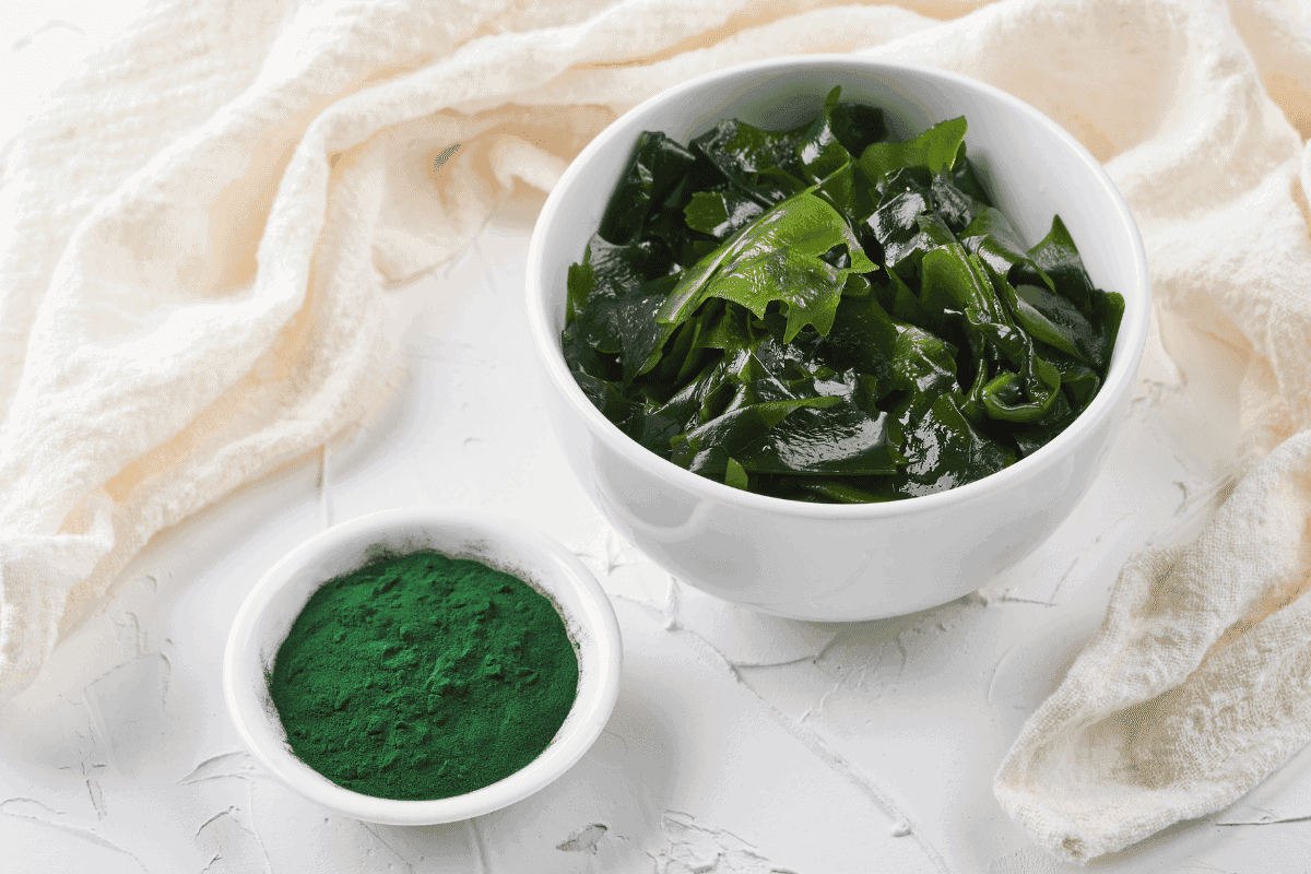 najlepšia spirulina – riasy