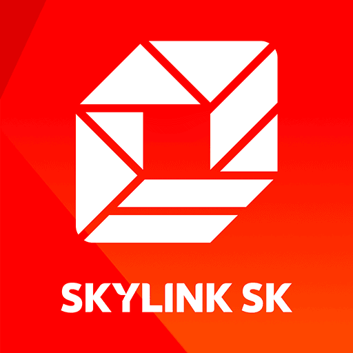 Skylink TV: Product review