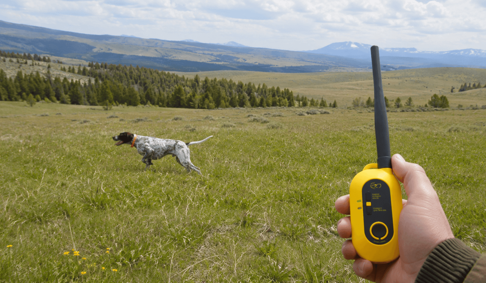 najlepsi GPS obojok pre psa na luke