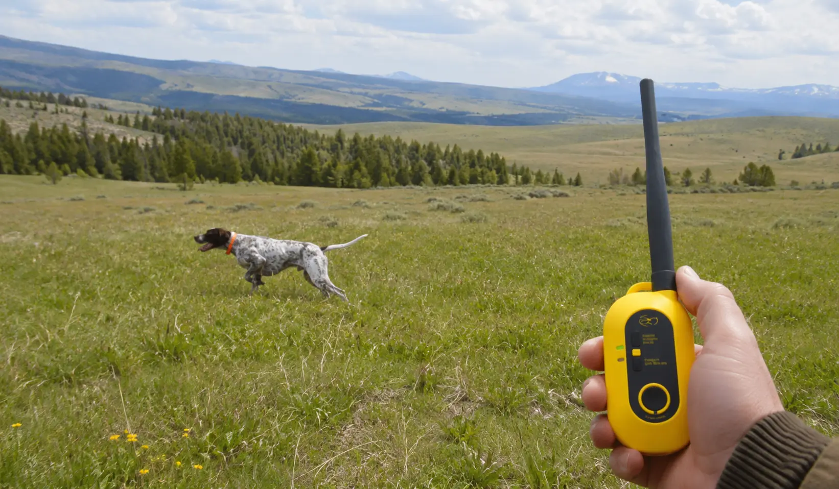 najlepsi GPS obojok pre psa na luke