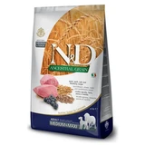 N&D LG Dog Adult Medium & Maxi Lamb & Blueberry