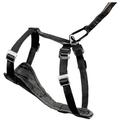 Kurgo Tru-Fit Smart Harness: Product review