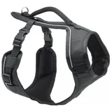 PetSafe EasySport