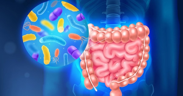 Najlepšie probiotiká 2026 – Porovnanie a tipy