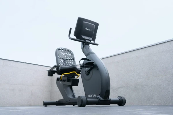 Recumbenty