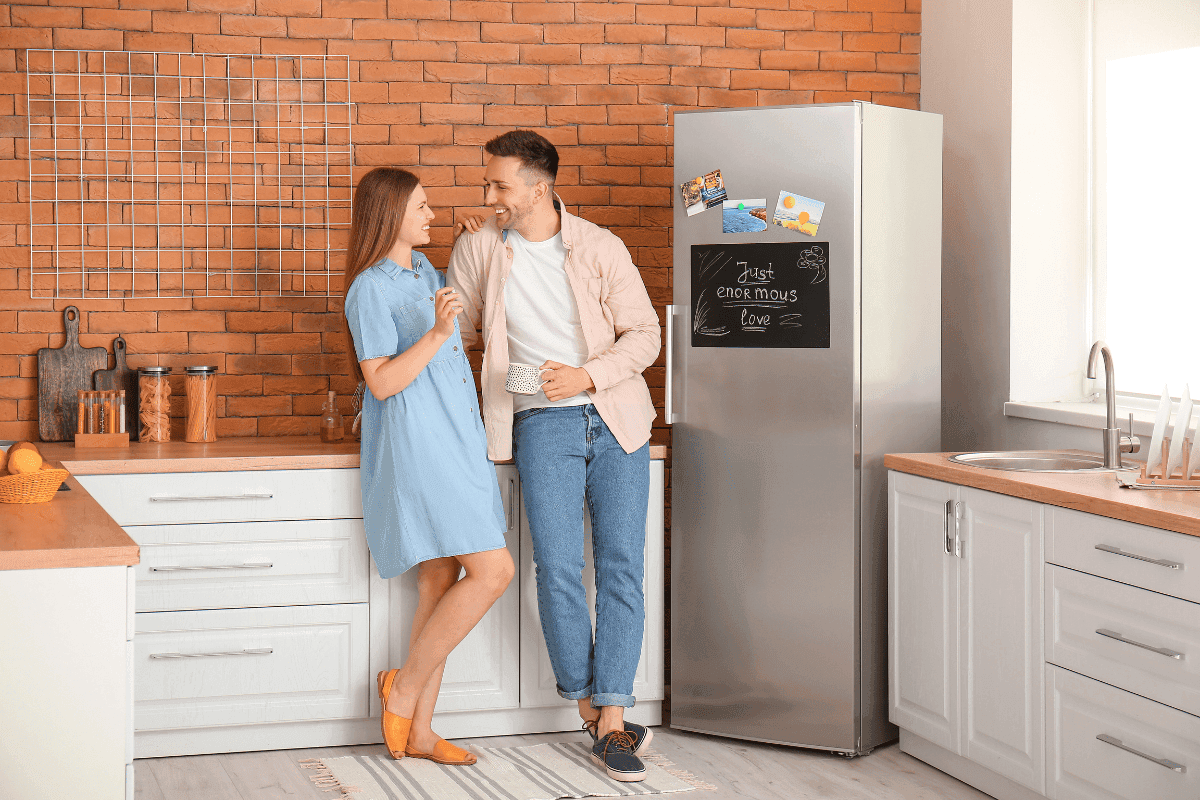 retro alebo original chladnicky – moderna chladnicka