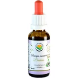 Salvia Paradise Bacopa monnieri Brahmi AF tinktura 50 ml
