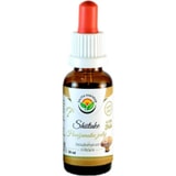 Salvia Paradise Shiitake AF tinktúra 50 ml