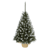 CHISMA TYP 4 170 cm