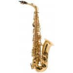 Saxofón Odyssey OAS130 recenzia